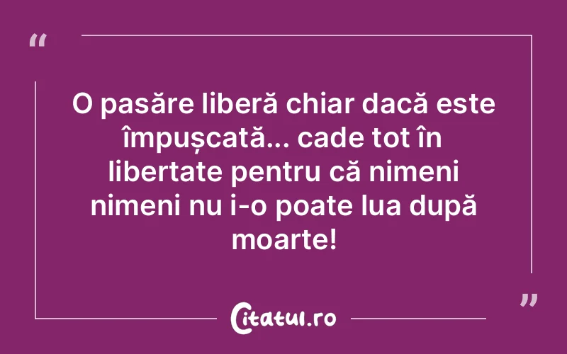 Citat Autor necunoscut - citate viata