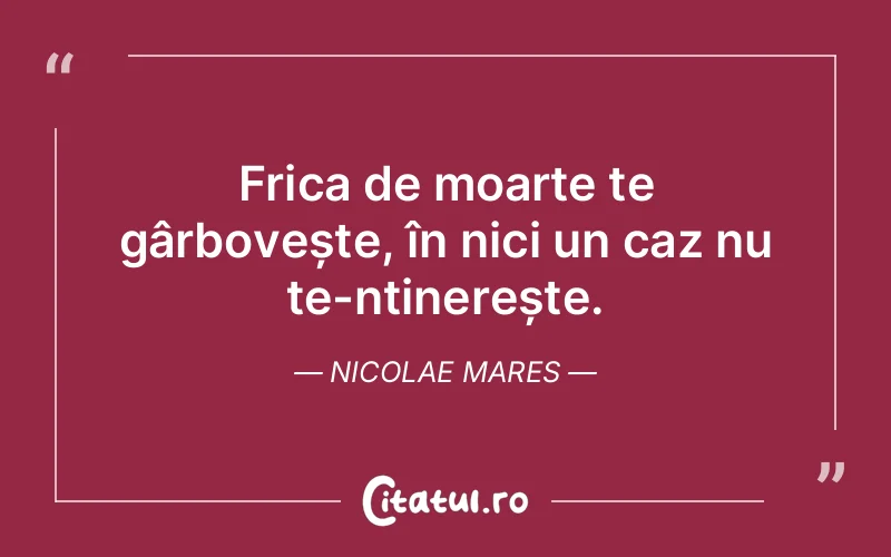 Citat Nicolae Mares - citate viata