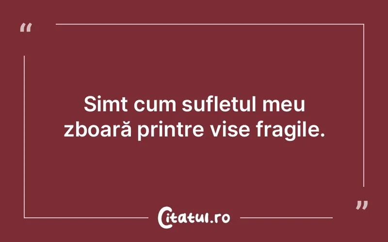 Simt cum sufletul meu zboară printre vise fragile.