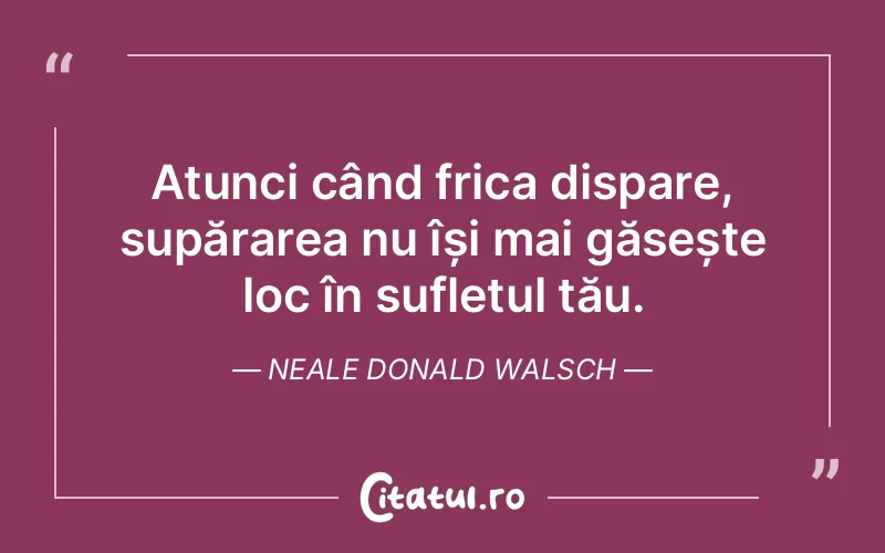 Citat Neale Donald Walsch - citate viata