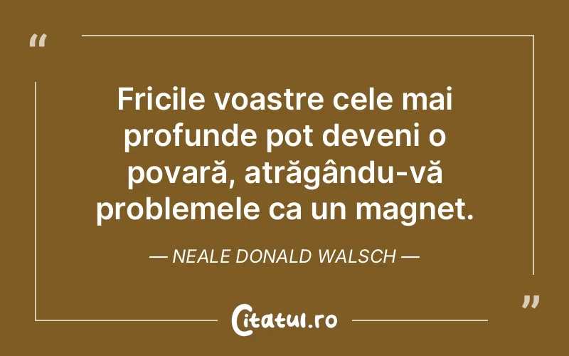 Citat Neale Donald Walsch - citate viata