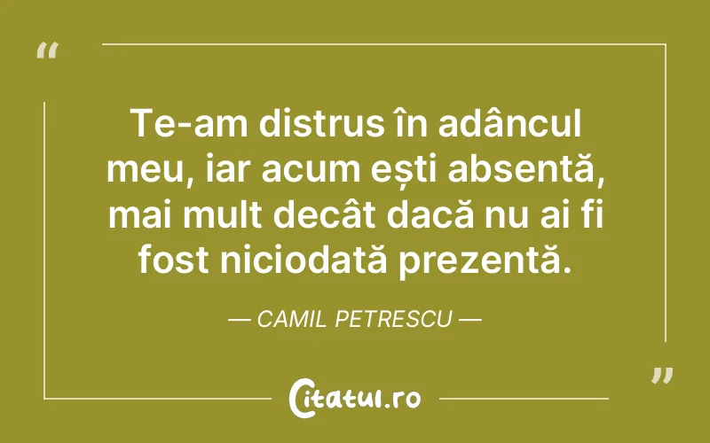 Citat Camil Petrescu - citate viata