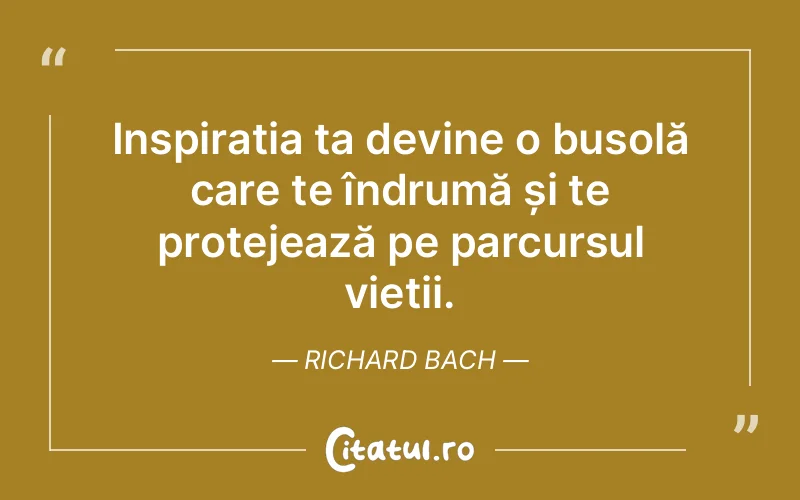 Citat Richard Bach - citate viata