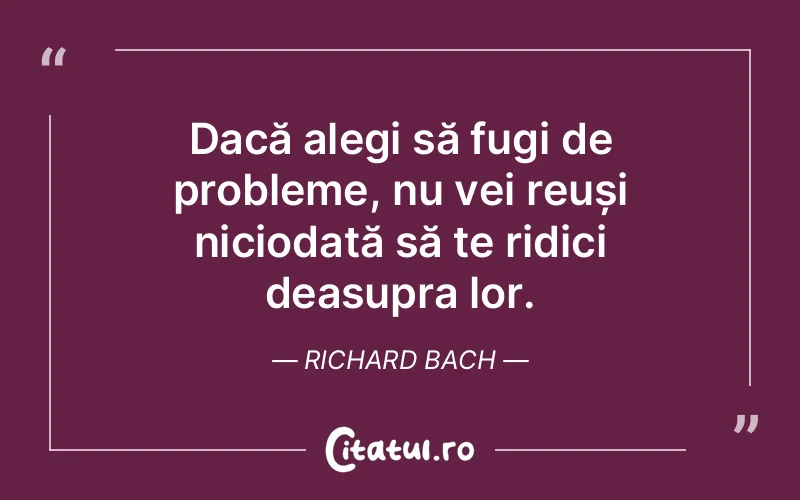 Citat Richard Bach - citate viata