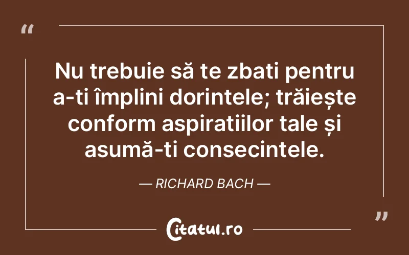 Citat Richard Bach - citate viata