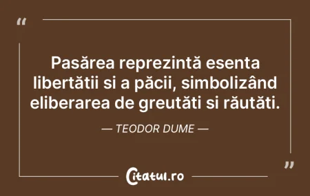 Cele mai valoroase lucruri nu se pot obs... Cele mai valoroase lucruri nu se pot obs...