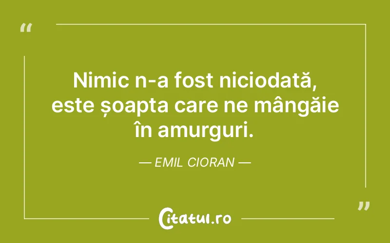 Citat Emil Cioran - citate viata