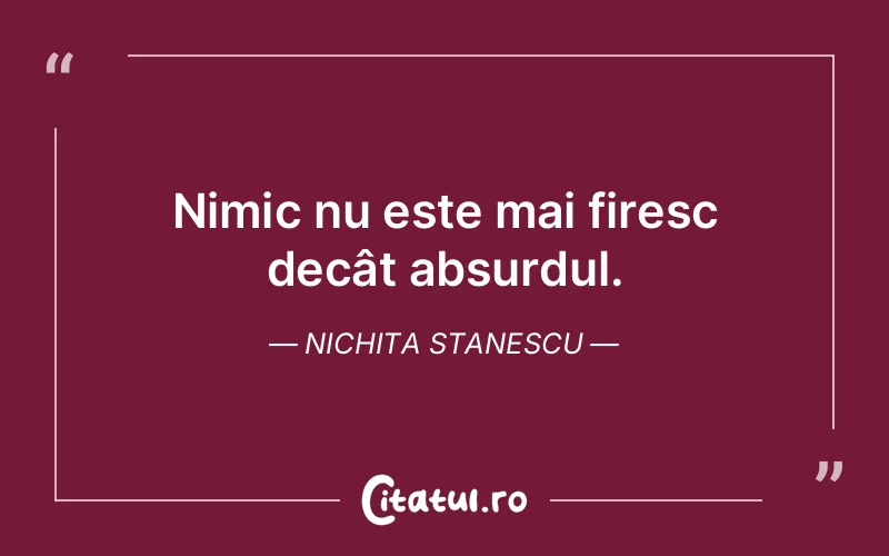 Citat Nichita Stanescu - citate viata