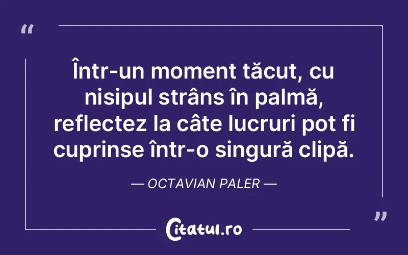 Citat Octavian Paler - citate viata