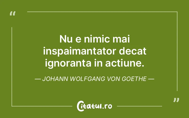 Nu e nimic mai inspaimantator decat ignoranta in actiune. Johann Wolfgang von Goethe