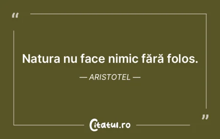 Oricat de perfecta ar fi aripa unei pasa...