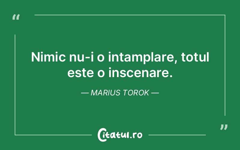 Citat Marius Torok - citate viata