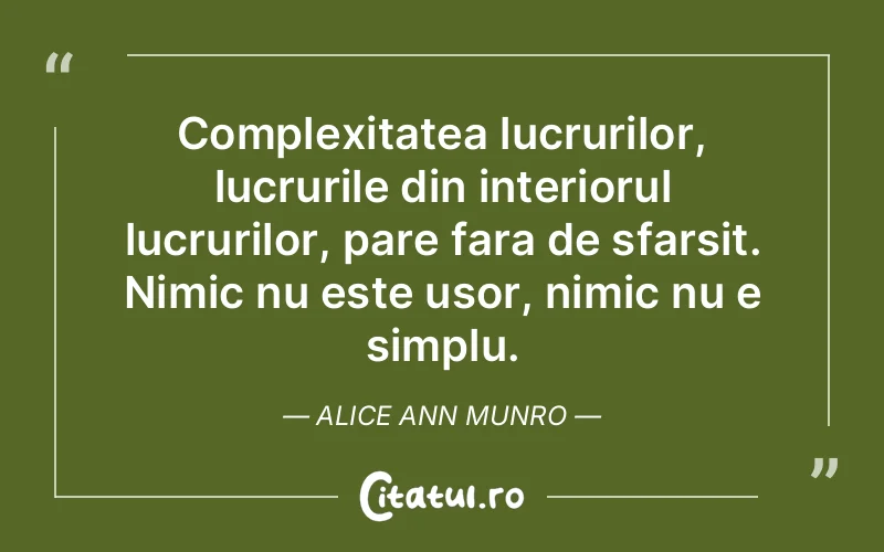 Citat Alice Ann Munro - citate viata