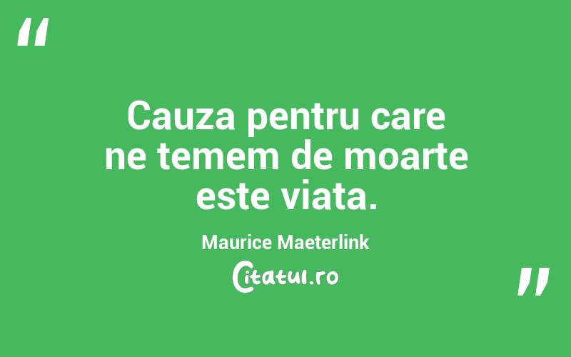 Cauza pentru care ne temem de moarte este viața. Maurice Maeterlink
