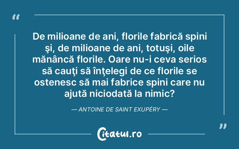 Citat Autor necunoscut - citate viata