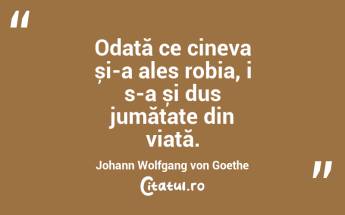Odată ce cineva și-a ales robia, i s-a și dus jumătate din viață. Johann Wolfgang von Goethe...