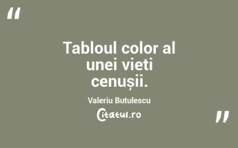 Tabloul color al unei vieți cenușii. Valeriu Butulescu...