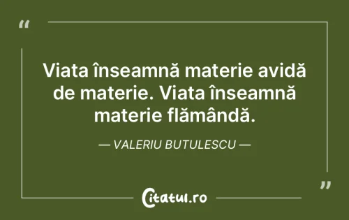 Citat Viață - Citatul.ro