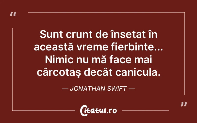 Citat Jonathan Swift - citate viata