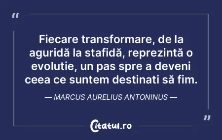 Când eram mai tânăr, nu-mi aminteam n...