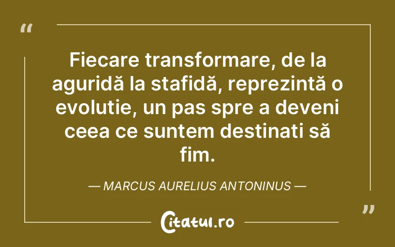 Citat Marcus Aurelius Antoninus - citate viata