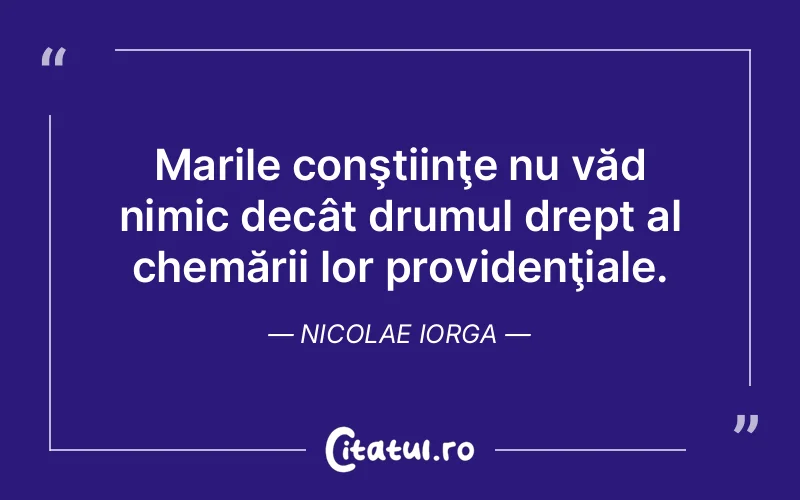 Citat Nicolae Iorga - citate viata