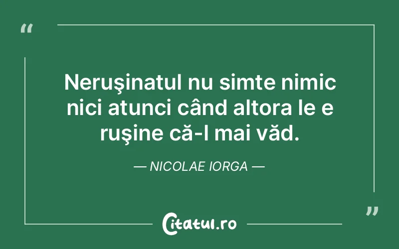 Citat Nicolae Iorga - citate viata