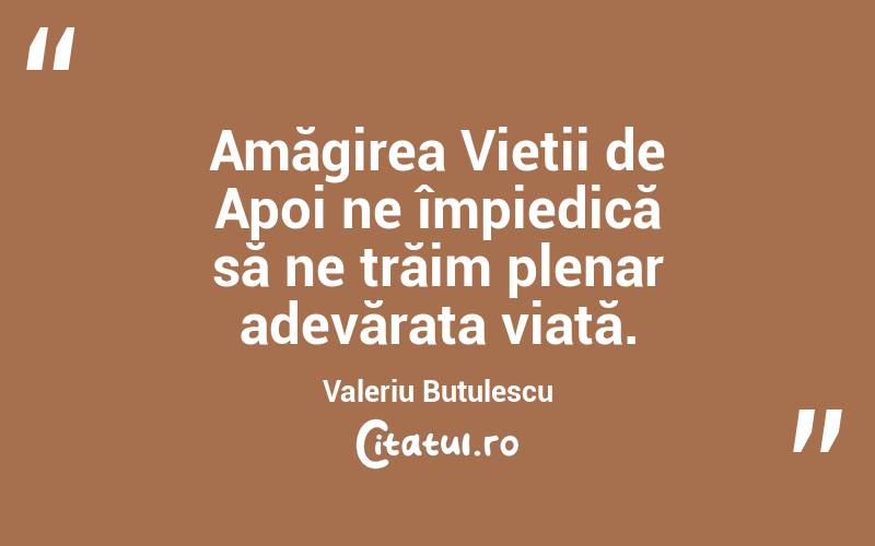 Amăgirea Vieții de Apoi ne împiedică să ne trăim plenar adevărata viață. Valeriu Butulescu
