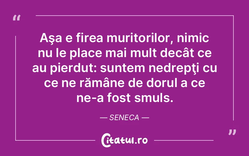 Citat Seneca - citate viata
