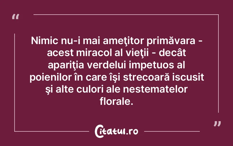 Citat Autor necunoscut - citate viata