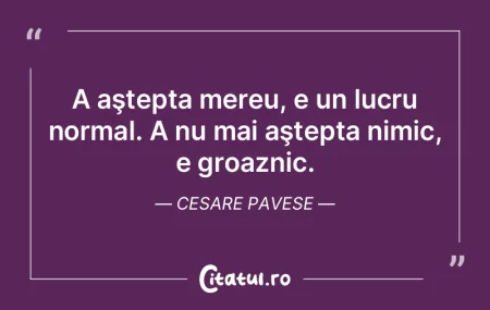 Mizeria comediei, ca să-i spunem aşa, ...