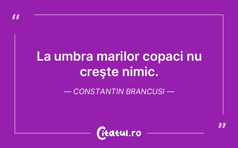 Citat Constantin Brancusi - citate viata