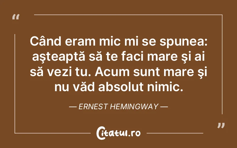 Citat Ernest Hemingway - citate viata
