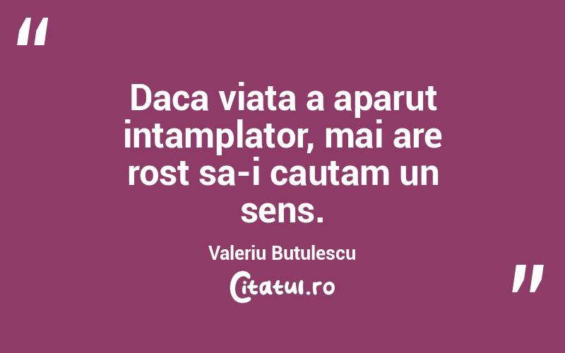 Daca viata a aparut intamplator, mai are rost sa-i cautam un sens. Valeriu Butulescu