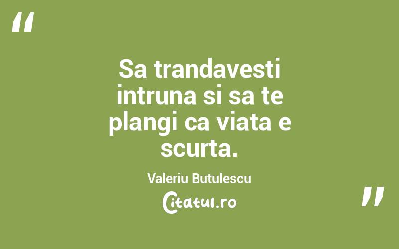 Sa trandavesti intruna si sa te plangi ca viata e scurta. Valeriu Butulescu