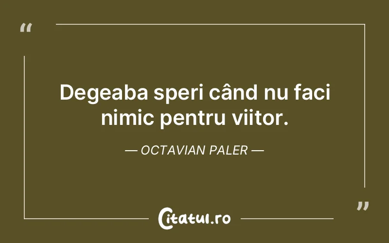 Citat Octavian Paler - citate viata