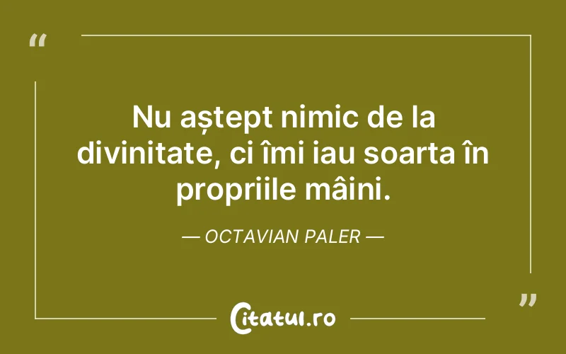 Citat Octavian Paler - citate viata