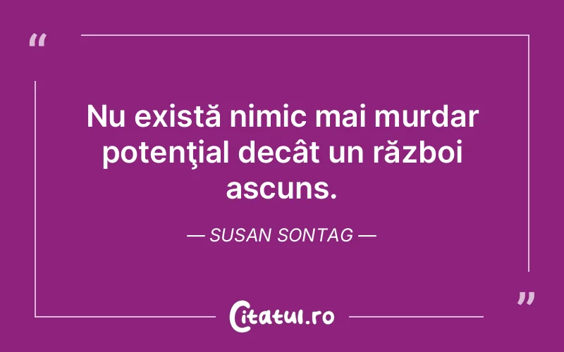 Citat Susan Sontag - citate viata