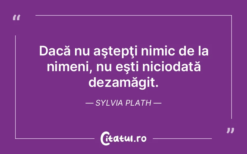 Citat Sylvia Plath - citate viata