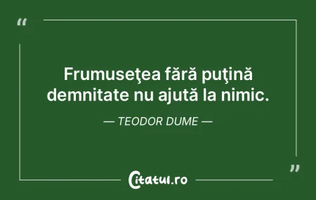 Nimic nu poate fi perfect într-o lume m... Nimic nu poate fi perfect într-o lume m...