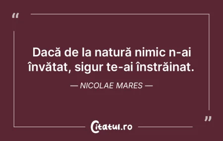 Azi se vinde orice nimic, materie cenuș... Azi se vinde orice nimic, materie cenuș...