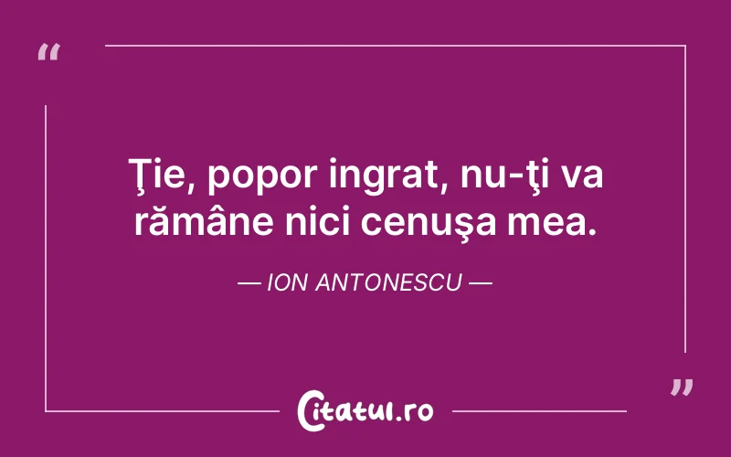 Citat Ion Antonescu - citate viata