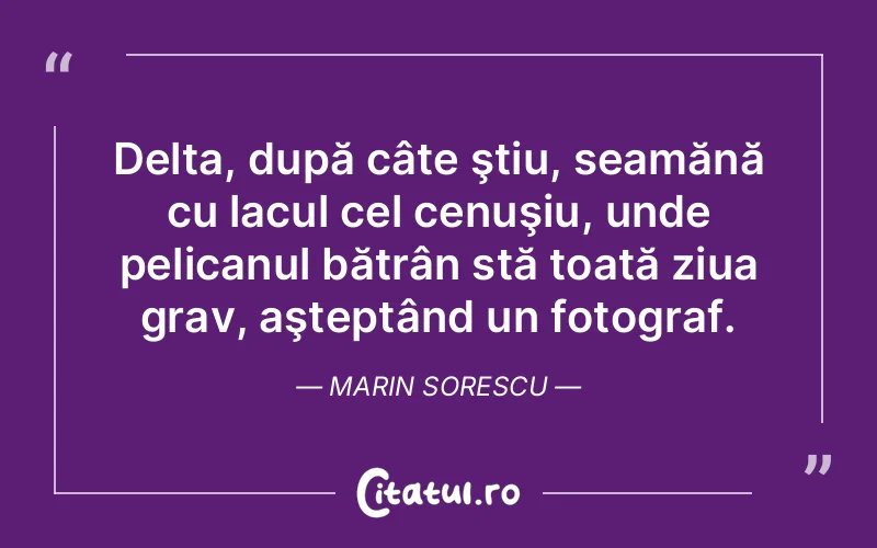 Citat Marin Sorescu - citate viata