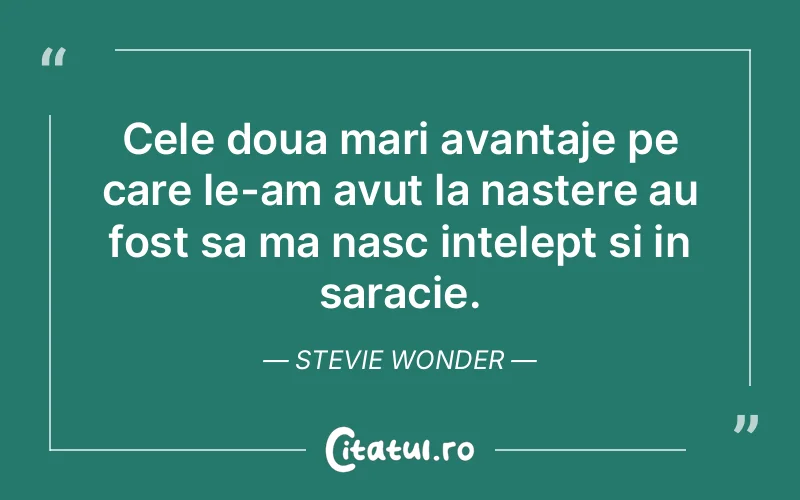 Citat Stevie Wonder - citate viata