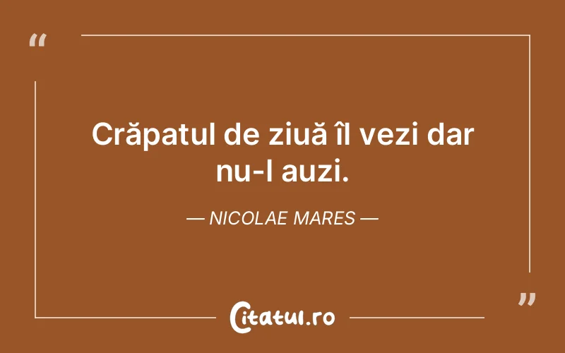 Citat Nicolae Mares - citate viata