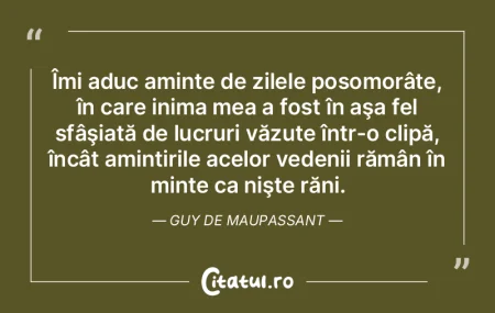 Ce ar trebui să învăţ eu de la fasol...