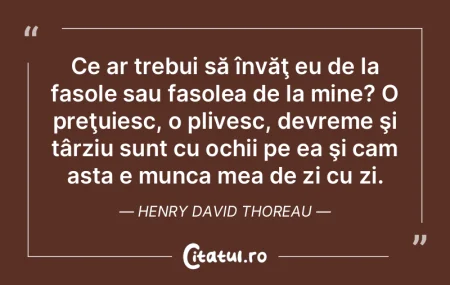 Cursele de maşini au luat naştere la c... Cursele de maşini au luat naştere la c...