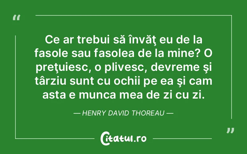 Citat Henry David Thoreau - citate viata