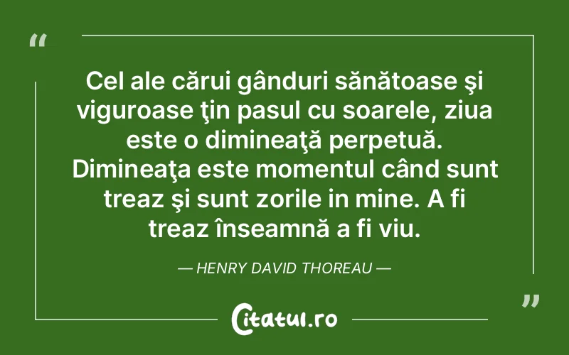 Citat Autor necunoscut - citate viata