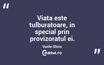 Viata este tulburatoare, in special prin provizoratul ei. Vasile Ghica...